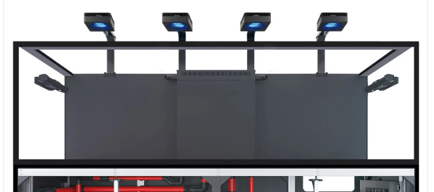 aquariums collection