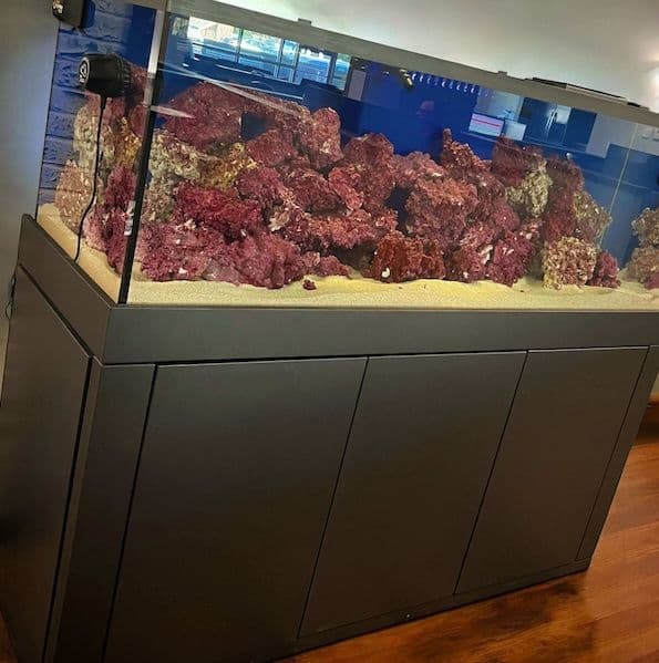 Glass Cages 180 Gallon Full Set