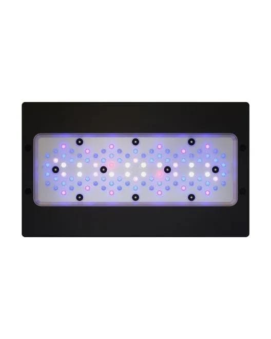 Radion XR-30 Gen 6 Blue
